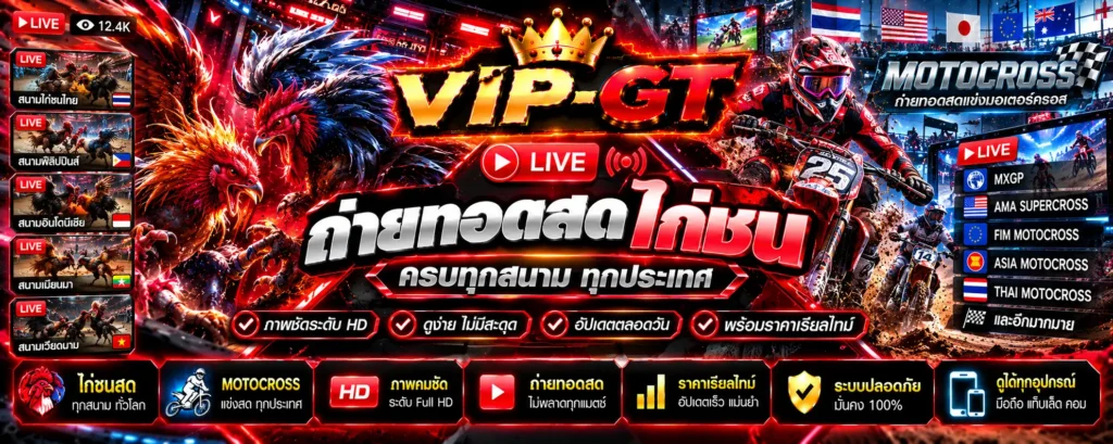 ถ่ายทอดสดไก่ชน ตารางการแข่งขันและข้อมูลการถ่ายทอด VIP-GT