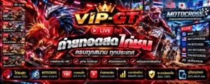 ถ่ายทอดสดไก่ชน ตารางการแข่งขันและข้อมูลการถ่ายทอด VIP-GT